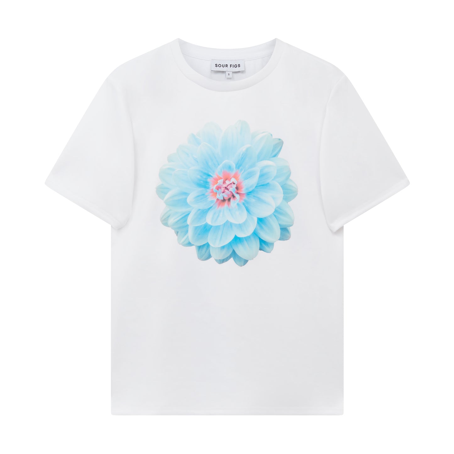 Botanical print T-shirt in soft pastel blue by Sour Figs