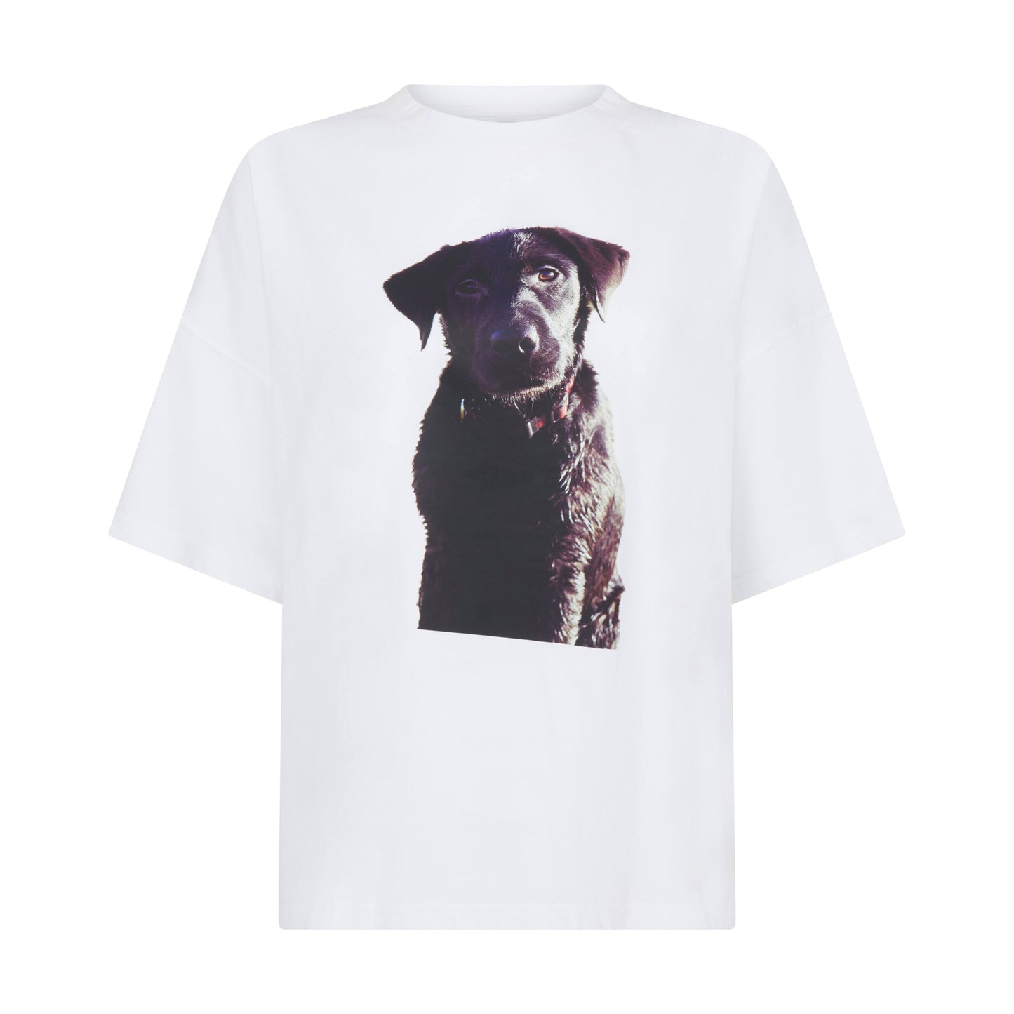 Labrador Puppy Print Unisex T-shirt in White