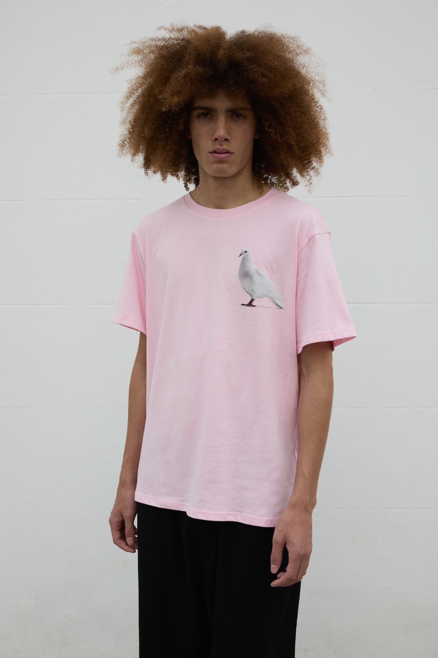 SOUR FIGS Standing Dove Print Unisex T-Shirt in Pink