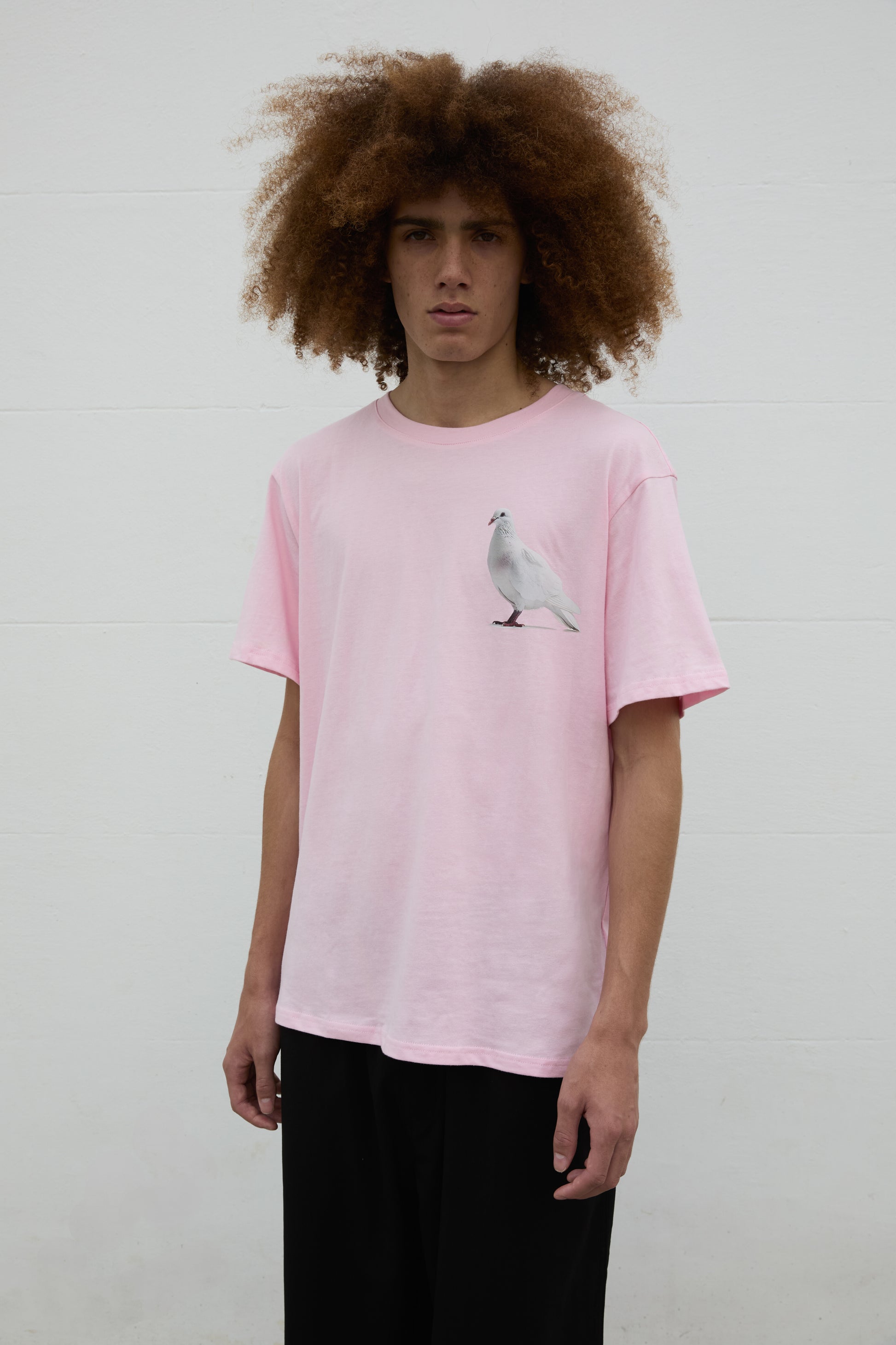 SOUR FIGS Standing Dove Print Unisex T-Shirt in Pink