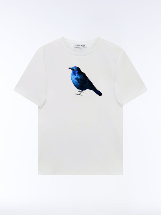 White SOUR FIGS crew-neck T-shirt with a greater blue-eared starling print in vivid blue with a yellow eye.