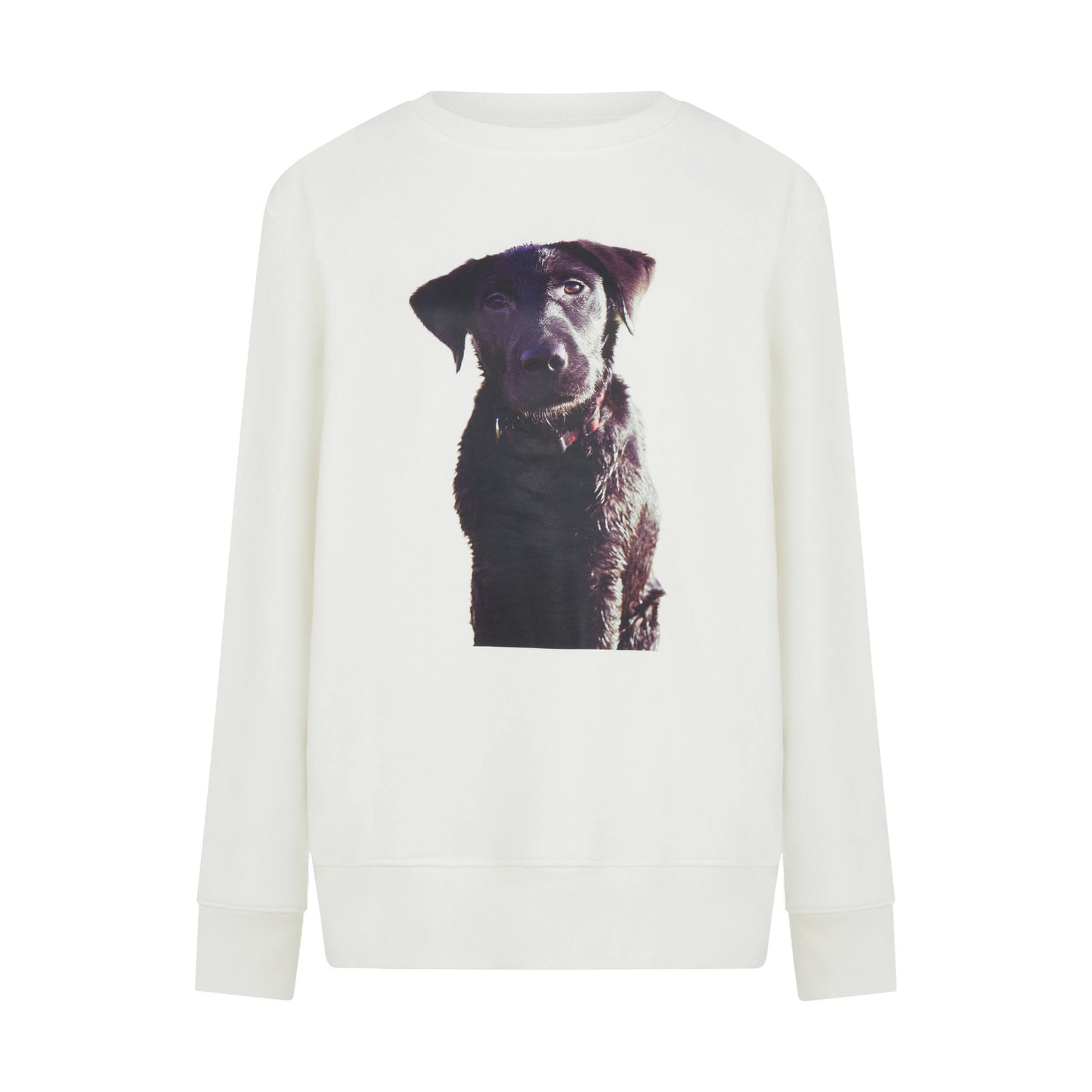 Labrador Puppy Print Unisex Sweatshirt in White