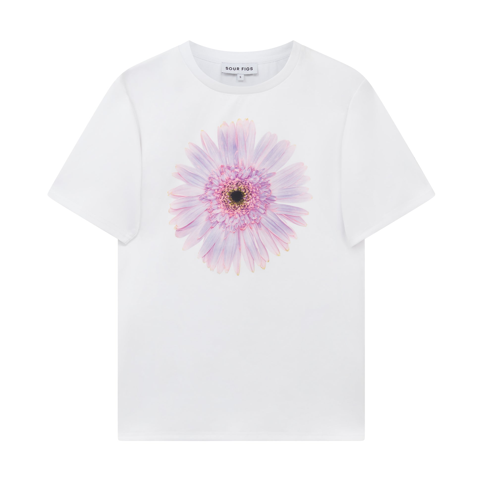 Sour Figs oversized white T-shirt with pink and lilac gerbera illustration