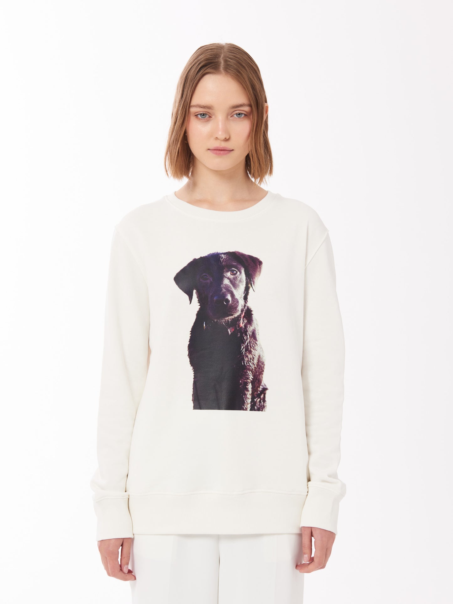 labrador sweatshirt sweater