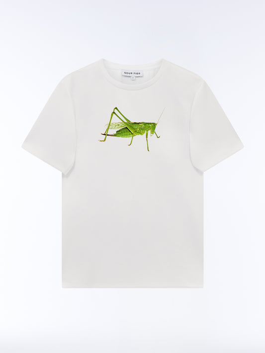 An off-white short-sleeve crewneck t-shirt featuring a detailed green bush cricket or grasshopper graphic printed on the center chest, displayed against a clean white background.