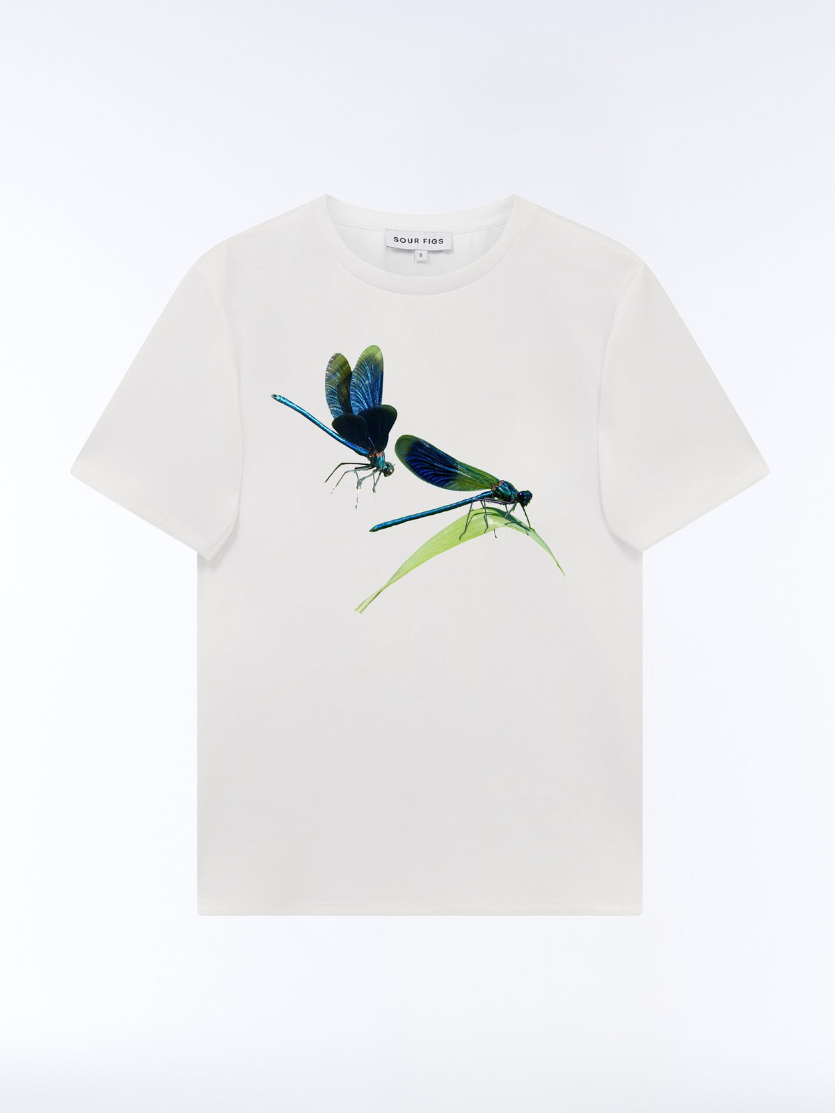 Front view of the SOUR FIGS Metallic Damselfly Print Unisex T-Shirt in White, featuring two blue and green damselflies, a green leaf and a crew neckline.