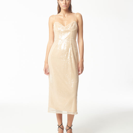 Tulle Corset Midi Sequin Dress in Beige – SOUR FIGS